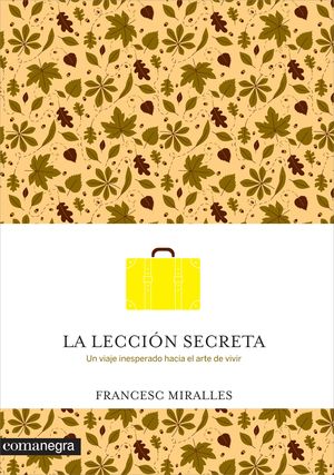 LA LECCION SECRETA