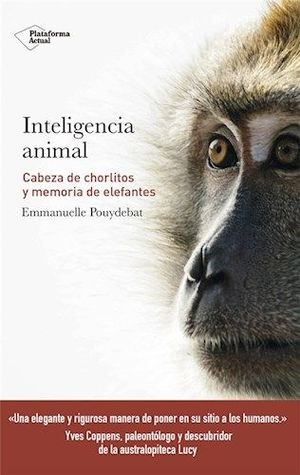 INTELIGENCIA ANIMAL