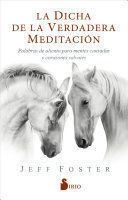 LA DICHA DE LA VERDADERA MEDITACION