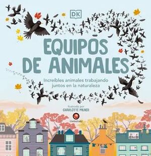 EQUIPOS DE ANIMALES