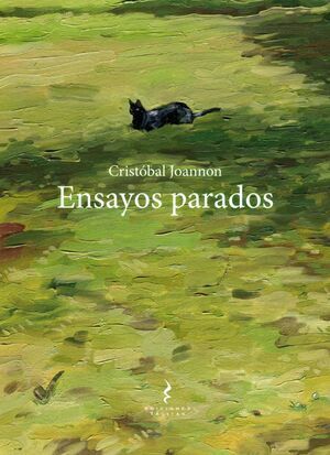 ENSAYOS PARADOS