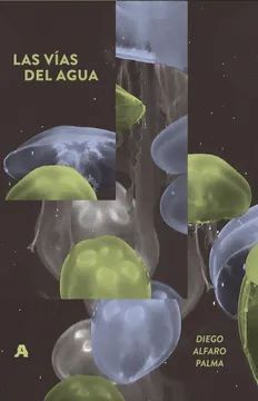 LAS VÍAS DEL AGUA