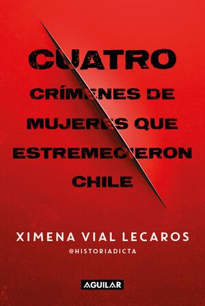CUATRO CRÍMENES DE MUJERES QUE ESTREMECIERON CHILE