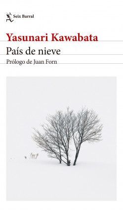 PAÍS DE NIEVE