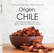 ORIGEN CHILE