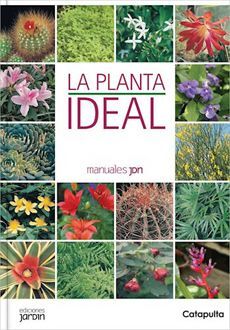 LA PLANTA IDEAL